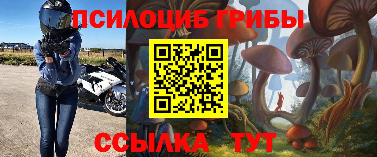 Галлюциногенные грибы мицелий Богородицк